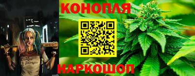 дживик Ирбит