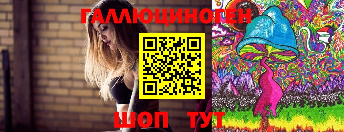 Псилоцибиновые грибы Cubensis Краснокаменск
